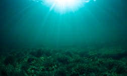 Article Sidebar Image