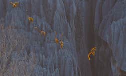 Article Sidebar Image