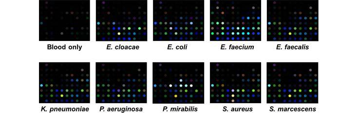 Article Recirculation Lead Image