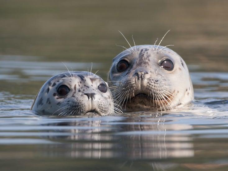 Article Recirculation Lead Image