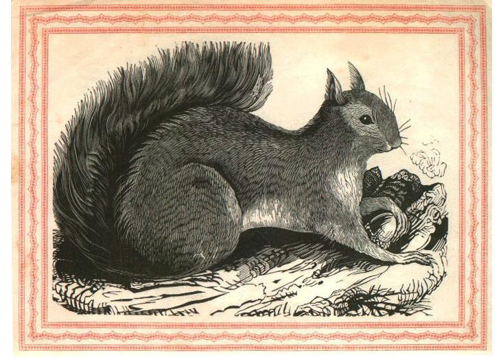 Article Recirculation Lead Image