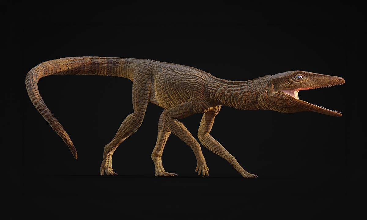 Article Sidebar Image