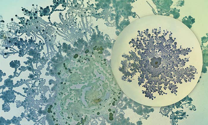 Article Recirculation Lead Image