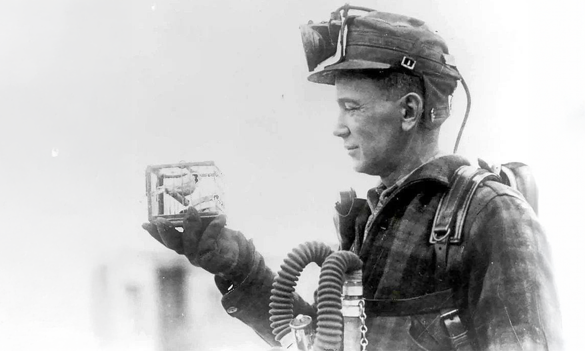 Article Sidebar Image