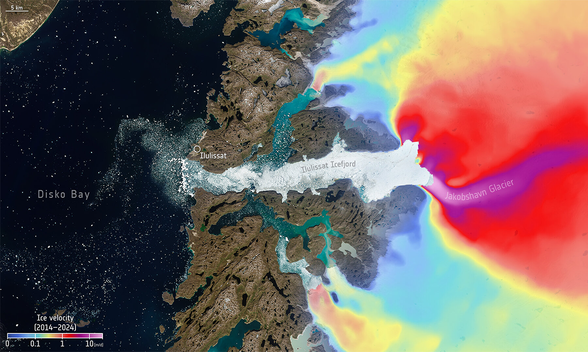 Article Sidebar Image