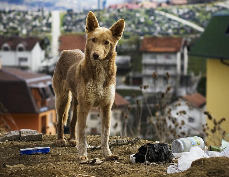 Article Recirculation Lead Image