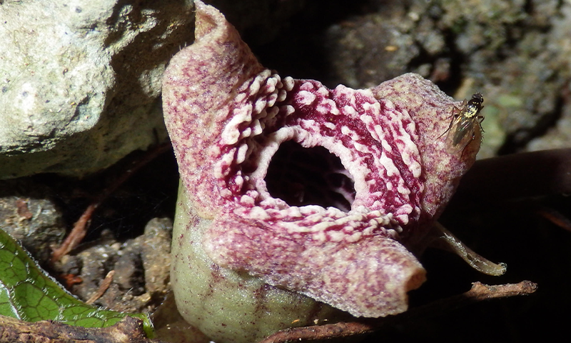 Article Recirculation Lead Image