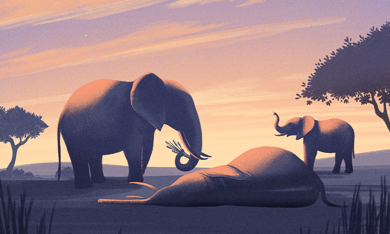 Article Recirculation Lead Image